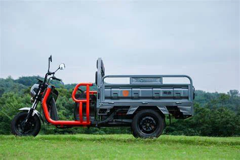 Tricicletă electrică cu încărcătură